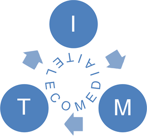 TIM Logo